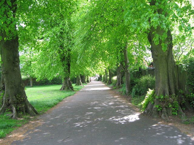 Return to Newton Road from Red House... © Martin Richard Phelan ...