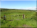 Gate, Dromore Lower