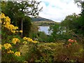 Gardens at Lochalsh House