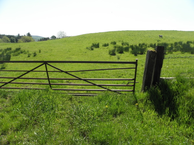 Gate, Dromore Middle © Kenneth Allen :: Geograph Ireland