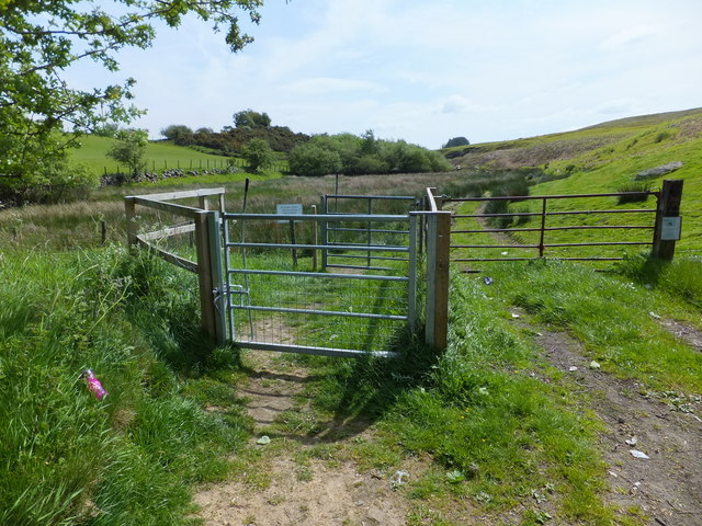 Horse gate onto a bridleway