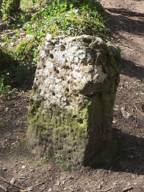Mold boundary stone in Coed Pwll-y-blawdd