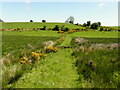 Aghafad Townland