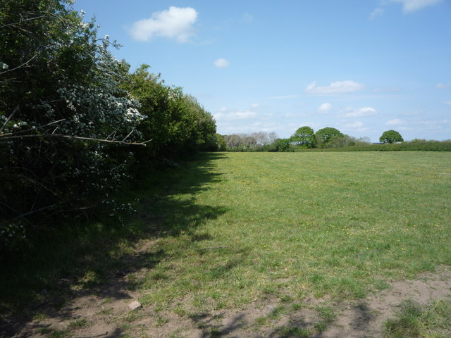 Grazing and hedgerow, Kirkbride
