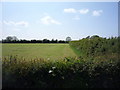 NY2355 : Farmland and hedgerow, Kirkbride by JThomas