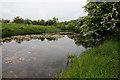 Coombe Hill Canal (disused)