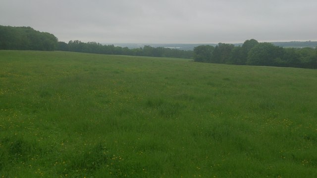Field off Smith's Hill, West Farleigh (1)