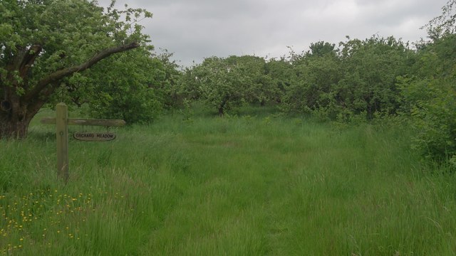 Orchard Meadow, Hunt Street, West Farleigh