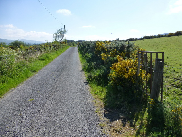 Liscabble Road, Dunbunrawer © Kenneth Allen :: Geograph Ireland