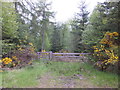 Forestry gate at Newtonhill