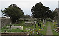 SS8377 : Churchyard yews, Newton, Porthcawl by Jaggery