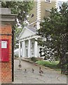 Geese, Battersea