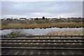 Lake, Doxey Marsh Nature Reserve