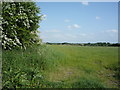 Crop field, Bunkershill