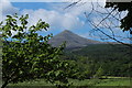 Farmland at Mossend