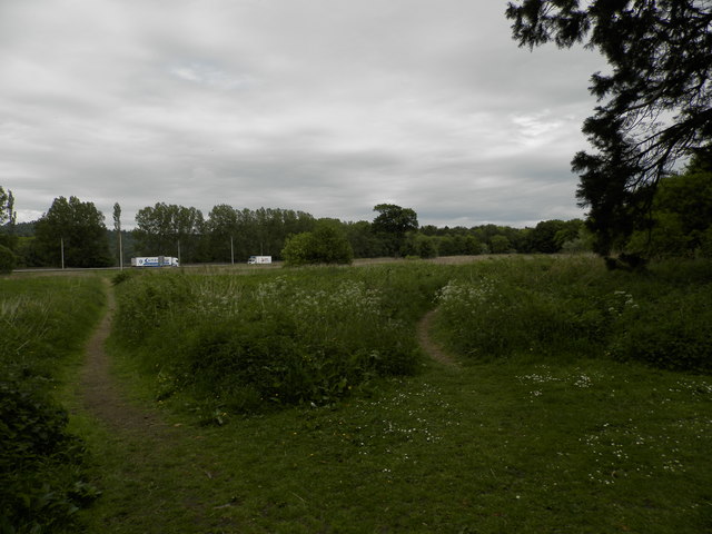 Scrubland near A90 at Inchture