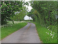 Road to Herkstead Hall Farm, Steeple Bumpstead