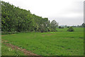 Looking to a field boundary on arable land near Lopham