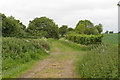 Mill Lane near Hobtoes Farm, Finchingfield 