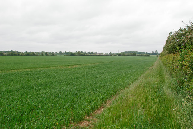 Footpath along arable field boundary, near Tudor Lodge, Gestingthorpe 