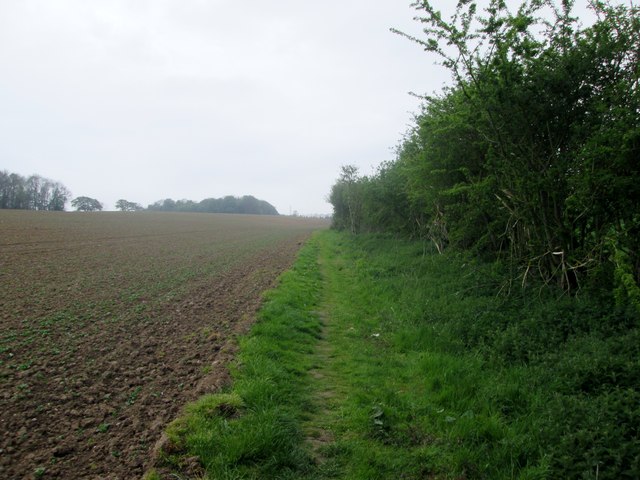 Field  edge  footpath