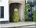 Decorated bollard, Meneage Street, Helston