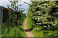 Footpath leading towards Widow Hill Road