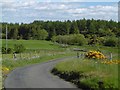 Lanes behind Langbank