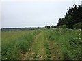 Alongside Grunty Fen Catchwater