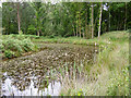 Pond off Sandpit Hall Road