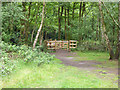 Way out, Horsell Common