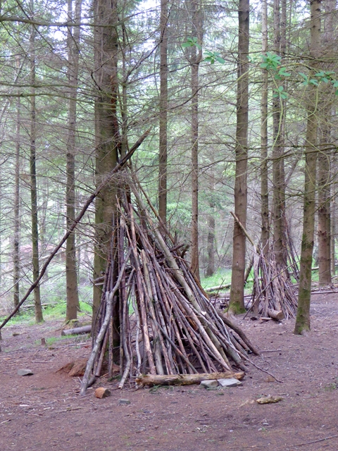 Lean-tos in the Forest of Dean © Oliver Dixon cc-by-sa/2.0 :: Geograph ...