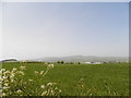 Field at Emmock Farm