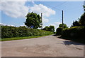 Road leading to Murrell