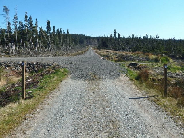 Forestry track junction