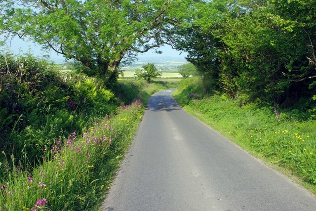 Country lane in summer