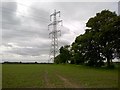 Giant pylon