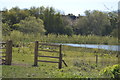 Lake, Great Denham Country Park