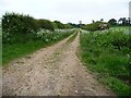 SU4036 : Private farm track running north-east to Chilbolton Down by Christine Johnstone
