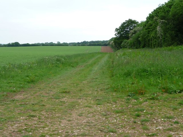 Track into field on the south side of a shelter belt