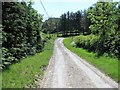 Approaching a bend on the Cluster Road