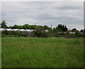 TL3368 : Overgrown greenhouses, Fen Drayton by Hugh Venables