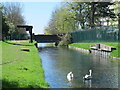 The New River north of Hoe Lane (2)