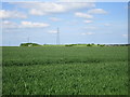 View towards an irrigation reservoir