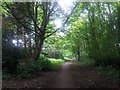 Railway path alongside Ravens Mount