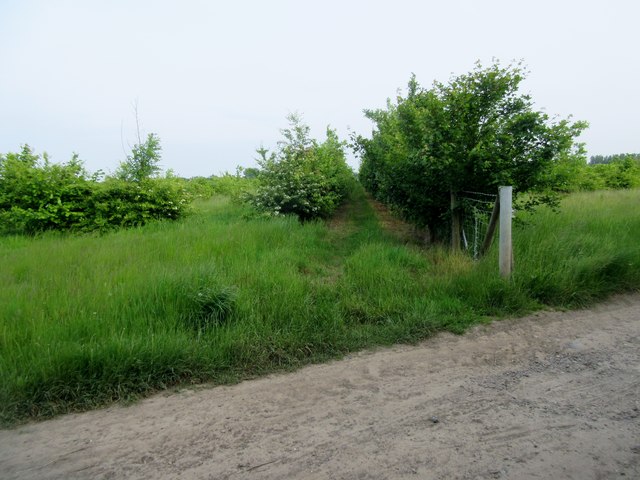 Footpath to Cherville Lane