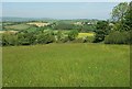 SX9168 : Field with a view, Great Hill by Derek Harper