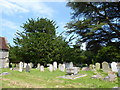 St Mary, Winkfield: churchyard (a)