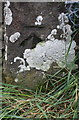 Benchmark on gatepost, South Moor Lane