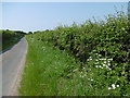 Lane at Witherenden Hill